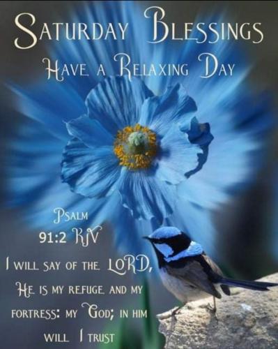 Screenshot_20210626-064020_Gallery