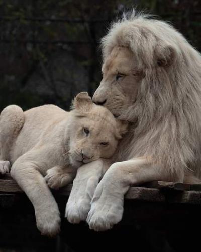 12:41:30 GMT-0500 (CDT)