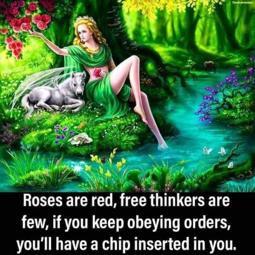 10:19:06 GMT-0600 (MDT)