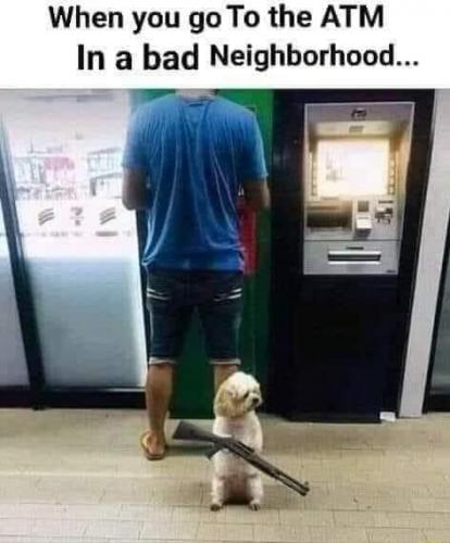 20:31:58 GMT-0700 (PDT).image