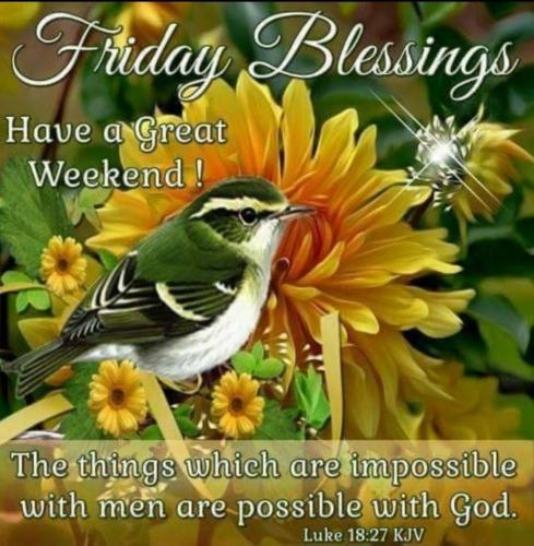 Screenshot_20210610-213353_Gallery