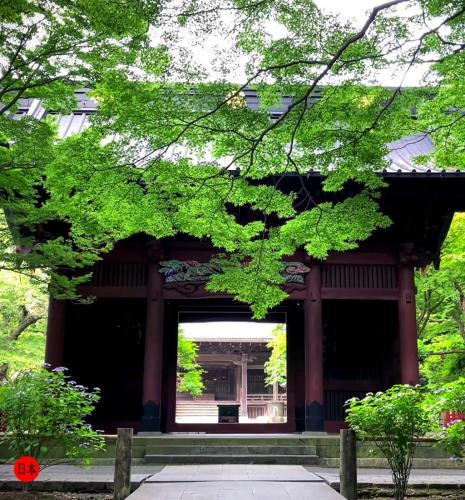 206680413_5675222979216041_619426853862273098_n