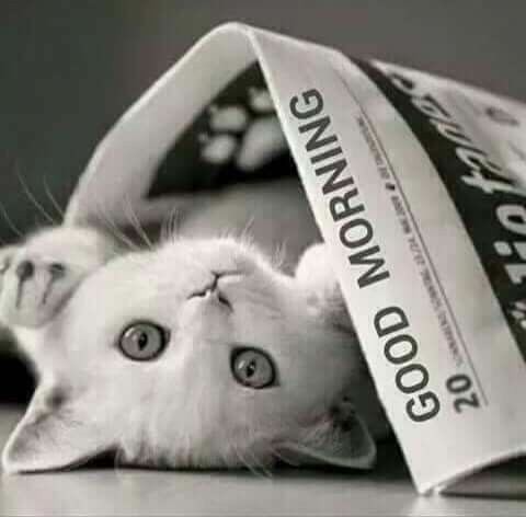 05:33:40 GMT-0500 (CDT)