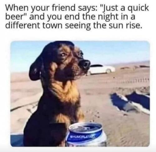 207644696_946511249516131_948500466625303727_n