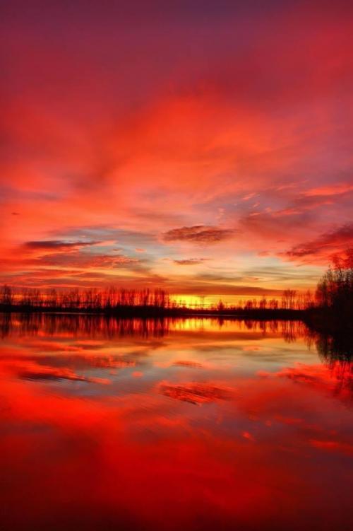 12:55:11 GMT-0800 (AKDT).image