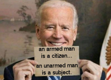 gun control194