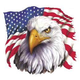14311-13x12-eagle-flag