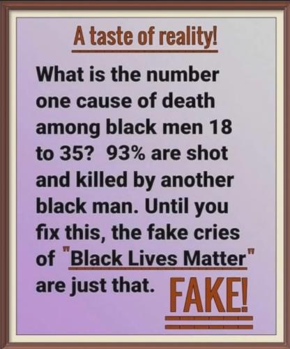 BLM is PHONY ACTIVISM