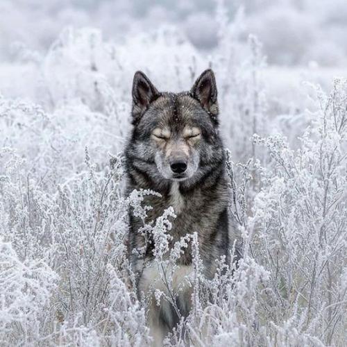 191624958_330199978674035_5488265885790062096_n