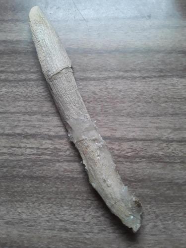 14:56:12 GMT-0500 (CDT)