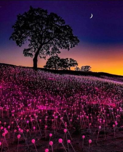 06:53:34 GMT-0500 (CDT)