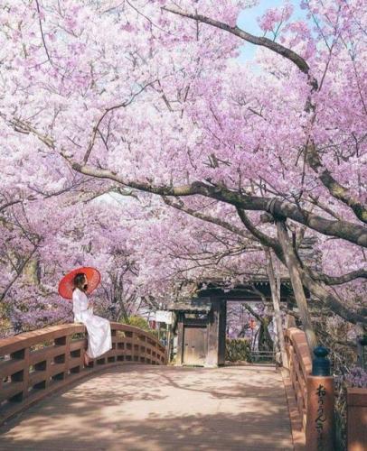 202323590_2883229925226798_1697021455079541818_n