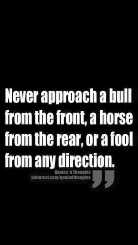 FB_IMG_1624981681612