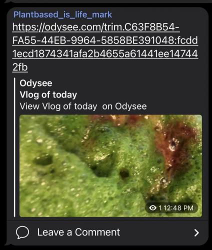 12:51:12 GMT-0500 (CDT).image