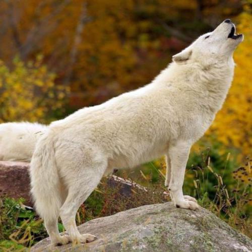 190166228_330165795344120_7030024917539633525_n