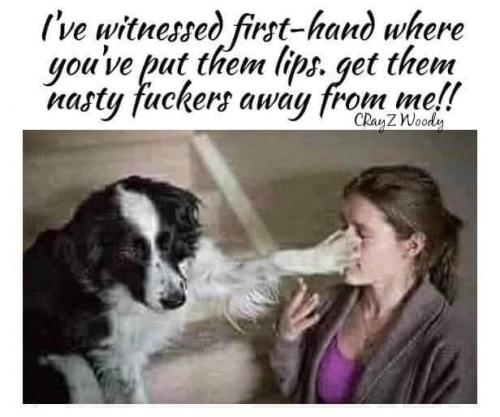 FB_IMG_1623884902746