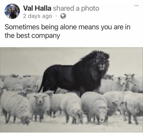 16:12:05 GMT+1200 (NZST).image