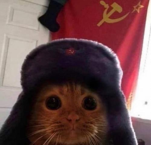 193282938_3957421967644495_4508398621513194758_n