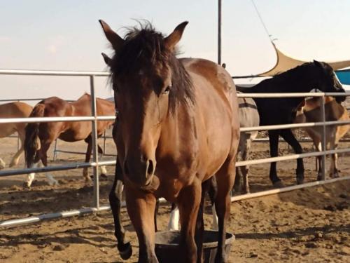 received_488842642176369