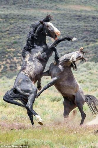 765d048c3fb7b5613f3f3c0446f57a16