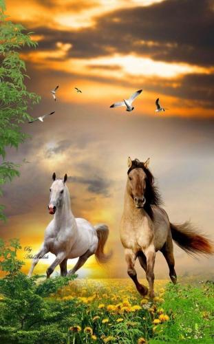 21:41:50 GMT-0500 (CDT)