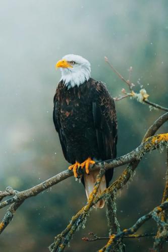 tumblr_f2dcb7904ce5bfa3d5df6420eb9d68b2_9d0d66c5_540