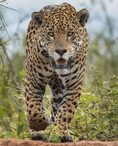 tumblr_fc223c3ec825c946f17482ea5cf9a63c_6273c12b_540