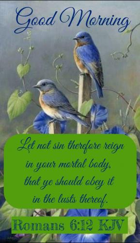 Screenshot_20210628-080212_Gallery