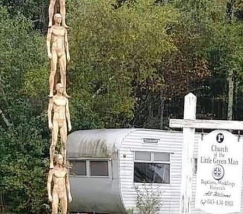 116975596_10213865958323297_7221956645657228223_n