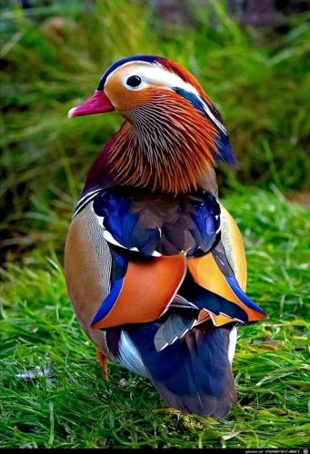 196889114_341118050688777_1009750856339302471_n