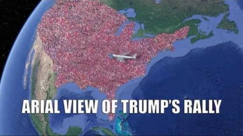 ztrump245