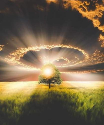 Screenshot_20210610-213252_Gallery