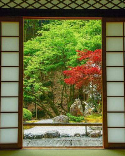 tumblr_81c41ad3d5cc0dad9b47c0518b087931_bd85daf9_540