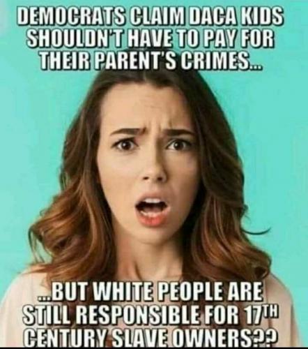 qUoW6ICKcmEpUqau3PM7_13_944de3f26e35d47ba386588d693c3f85_image