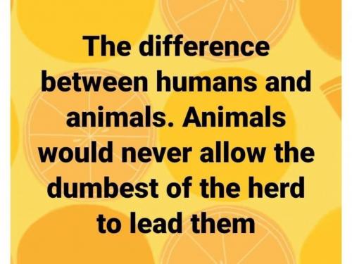 12:56:10 GMT-0400 (EDT).image