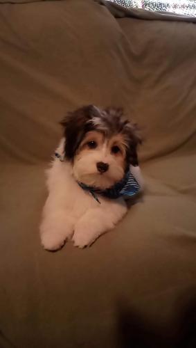 12:42:57 GMT-0400 (EDT)