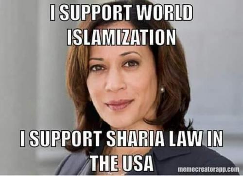 50626184_491166751411144_5679601470182260736_n