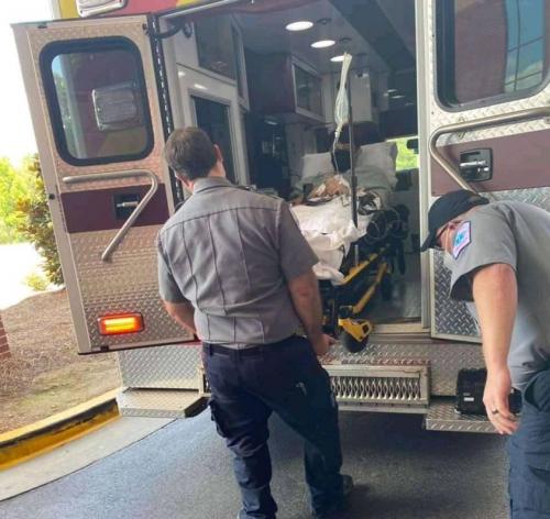 206188513_1259790974436251_5887230597851467101_n