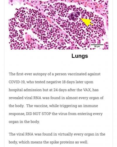 IMG_20210616_140956_065