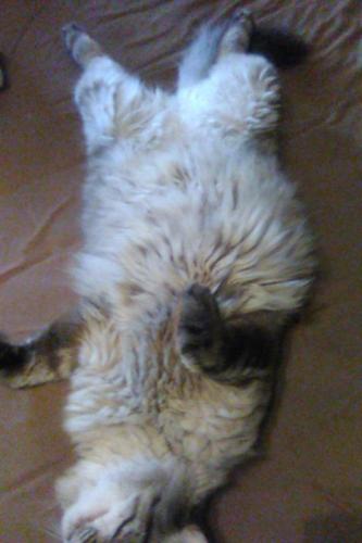 18:04:01 GMT-0700 (PDT)