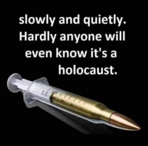 Holocaust in a syringe - meme