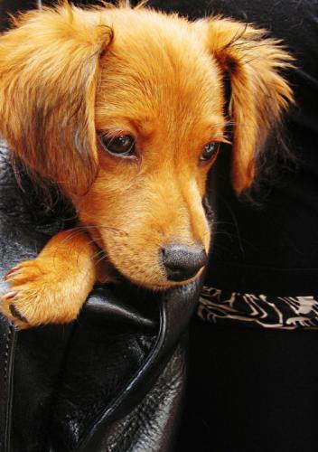 tumblr_pajxeq8Vy81x81mwoo1_500