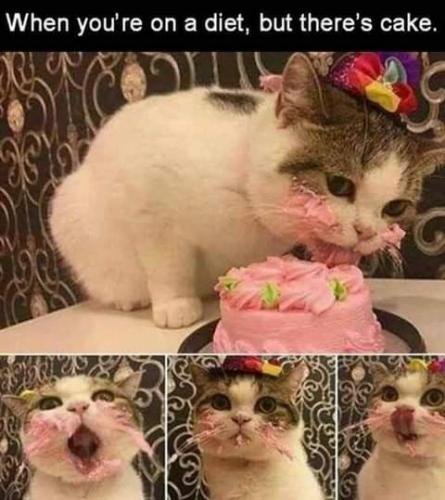 FB_IMG_1624074741617