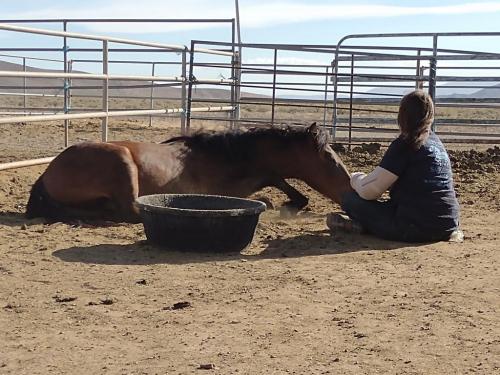 IMG_20210608_174928297