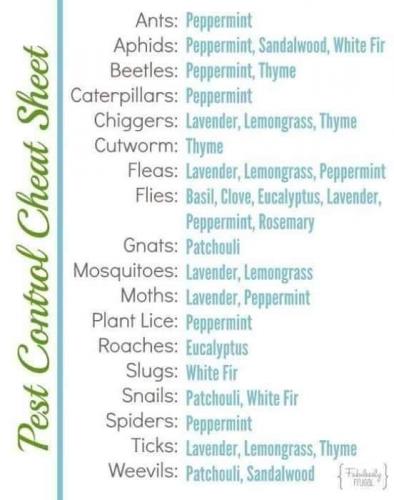 09:05:54 GMT-0400 (EDT)