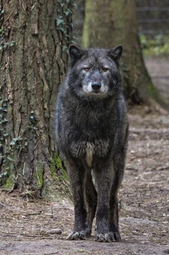 21:49:34 GMT-0500 (CDT)