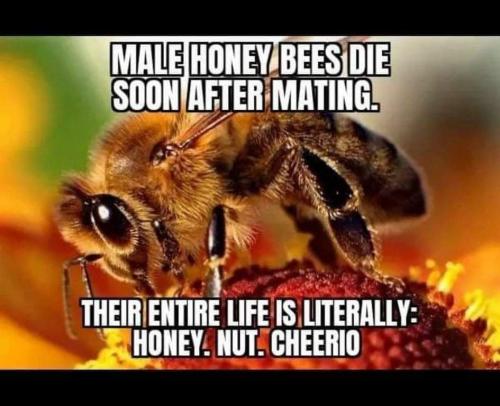 07:19:18 GMT-0600 (MDT)