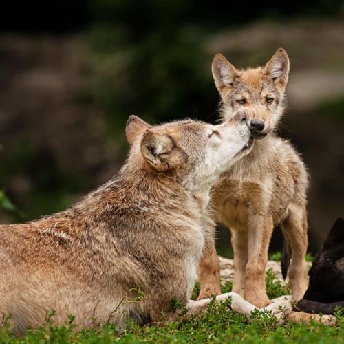 193261723_330179675342732_2943398211271751365_n