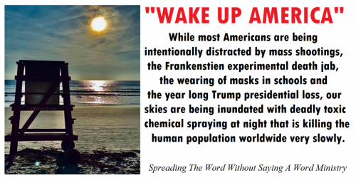 207056685_777337082929614_4251444859148775876_n