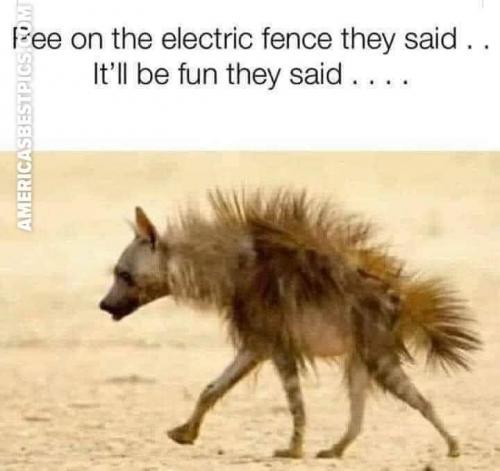 11:28:45 GMT-0400 (EDT)